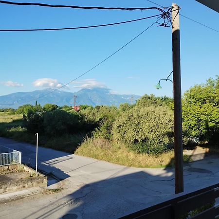 Villa Olympia Paralía Zewnętrze zdjęcie