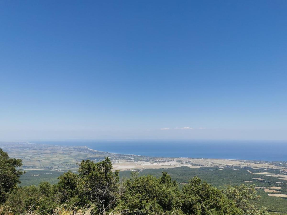 Villa Olympia Paralía Zewnętrze zdjęcie
